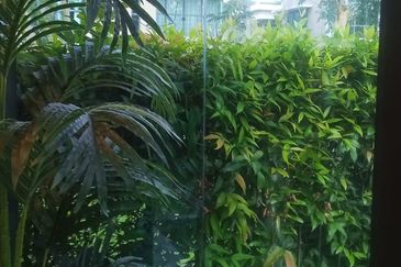 Bayou Creek, Leisure Farm