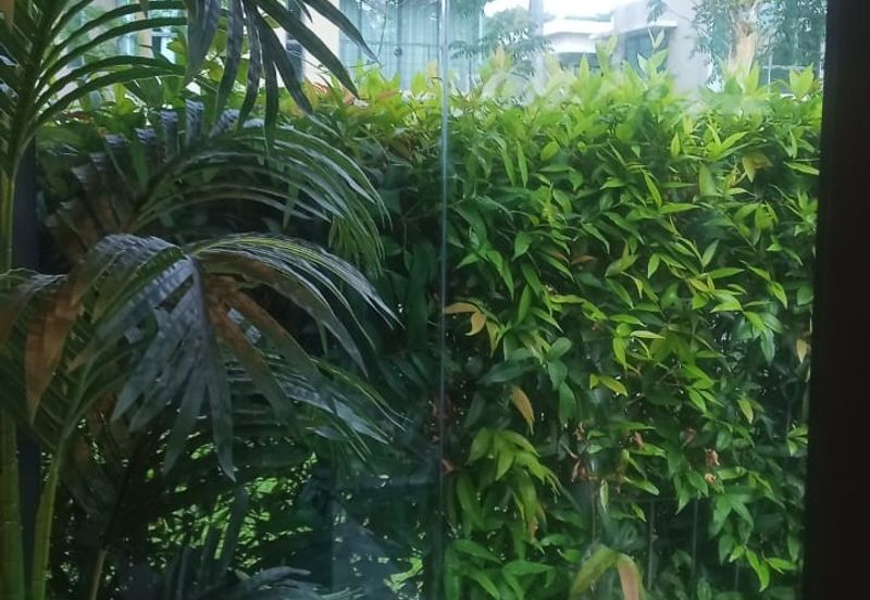 Bayou Creek, Leisure Farm