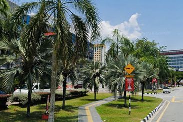 Bandar Seberang Jaya