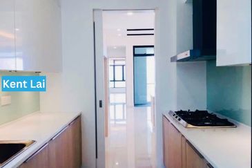 The Light Collection III