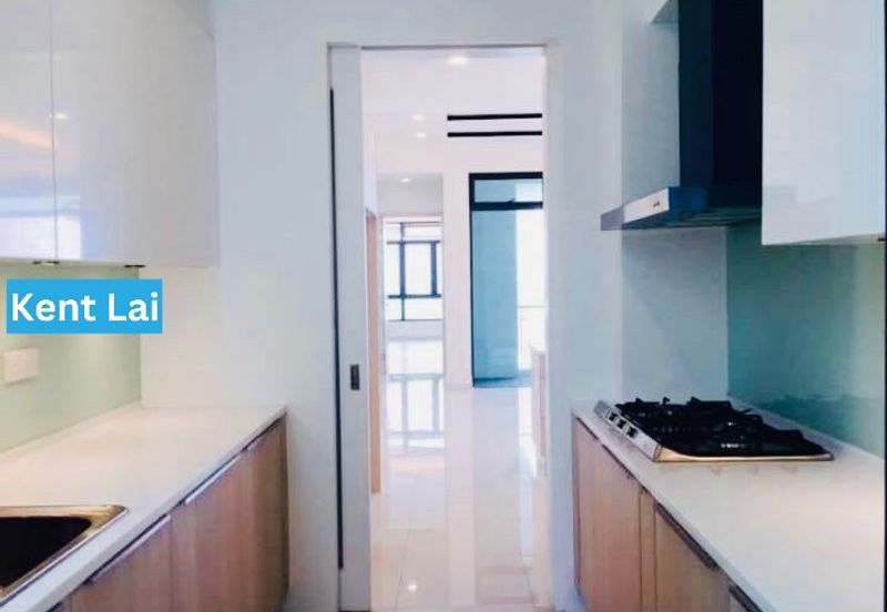 The Light Collection III