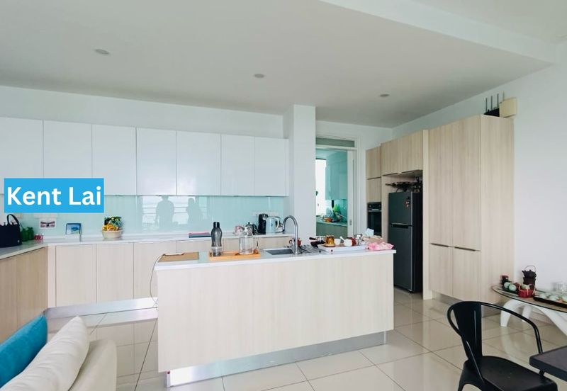 The Light Collection III