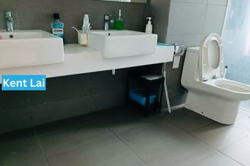 The Light Collection III