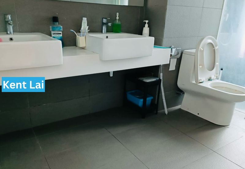 The Light Collection III