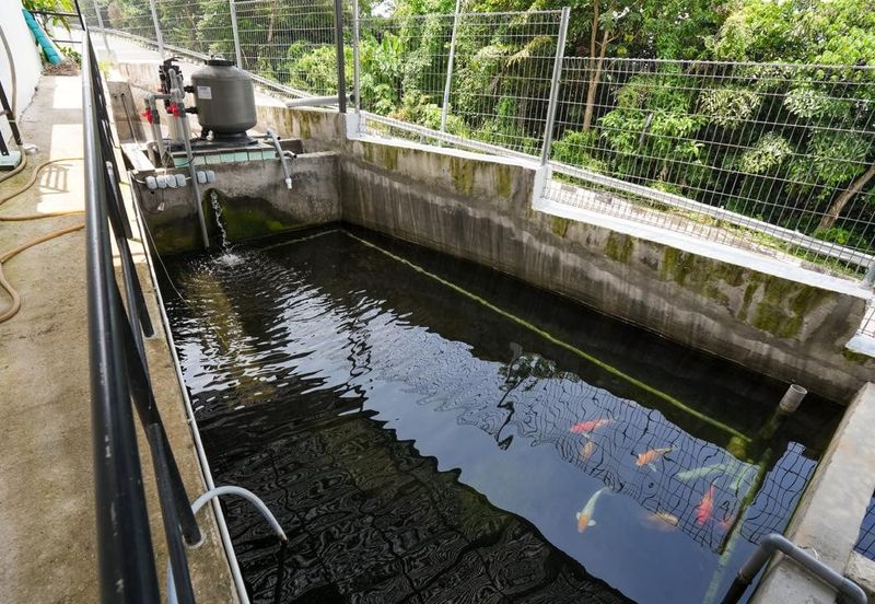 3 Storey Bungalow Batu Maung, Jalan Muzium Perang, Teluk Tempoyak 