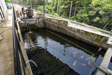 3 Storey Bungalow Batu Maung, Jalan Muzium Perang, Teluk Tempoyak 