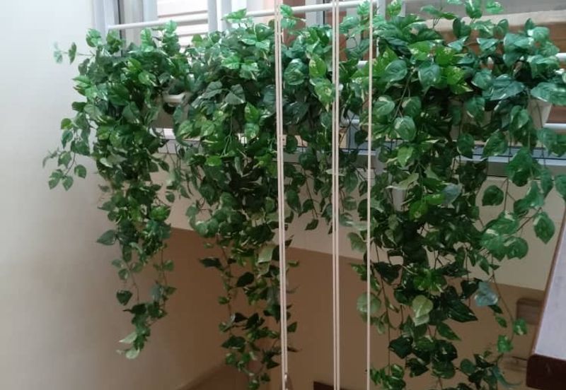 Palace Hill 4 Storey Semi-Detached Halaman Bukit Gambir 3 Gelugor 