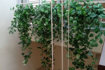 Palace Hill 4 Storey Semi-Detached Halaman Bukit Gambir 3 Gelugor 