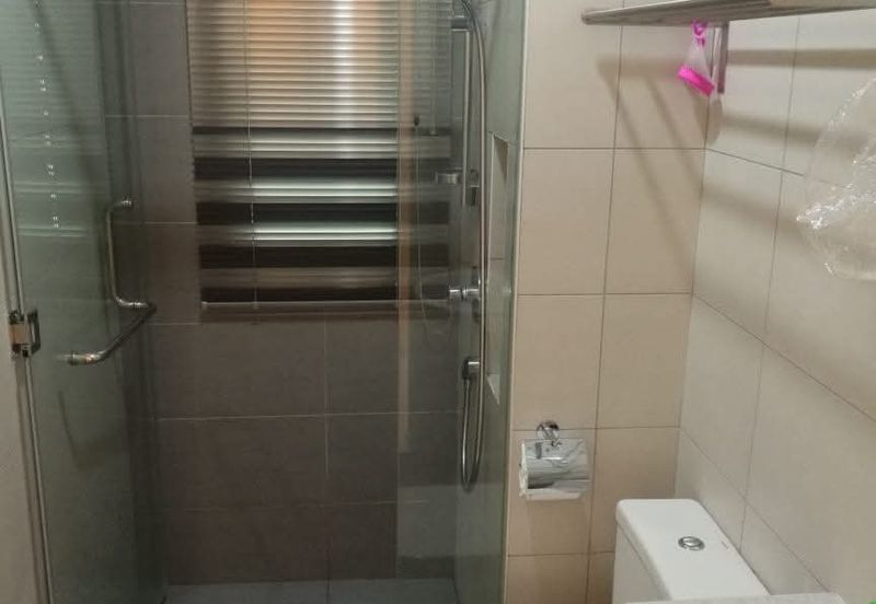 The Light Collection I