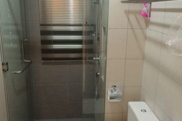 The Light Collection I