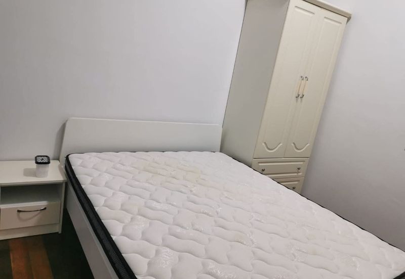 The Light Collection II