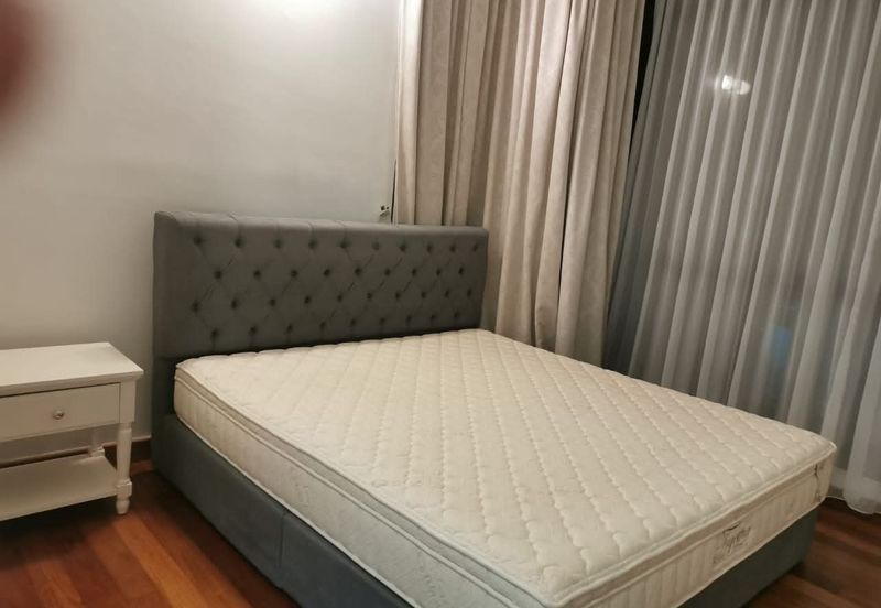 The Light Collection II