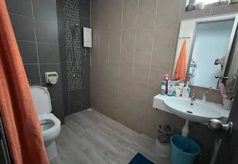 Tree Sparina @ Ideal Vision Park