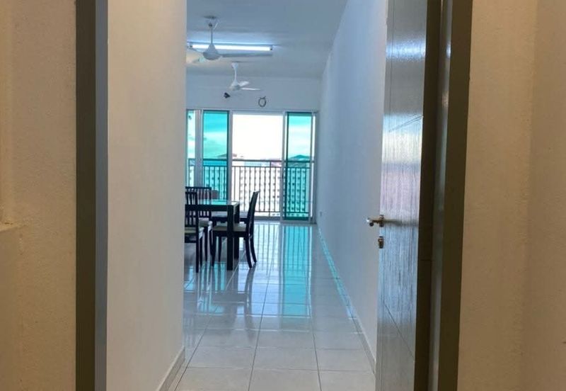 The Rise Collection 3