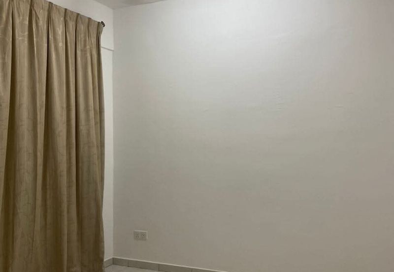 The Rise Collection 3