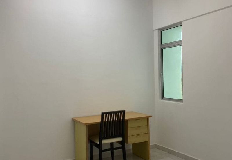 The Rise Collection 3