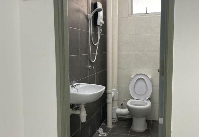 The Rise Collection 3