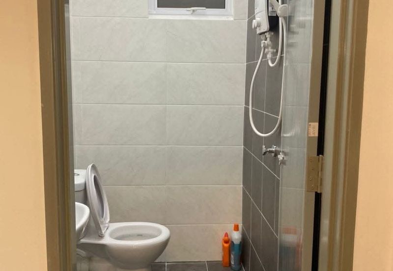 The Rise Collection 3