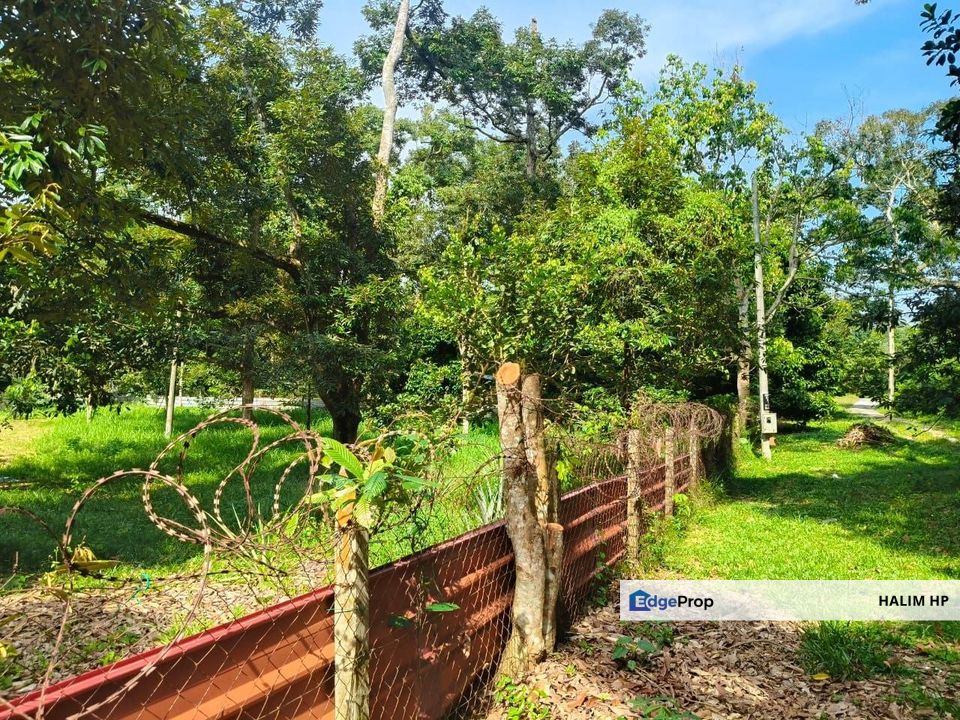 TANAH DUSUN DURIAN UNTUK DILEPASKAN – MUKIM LENGGENG, NS, Negeri Sembilan, Lenggeng