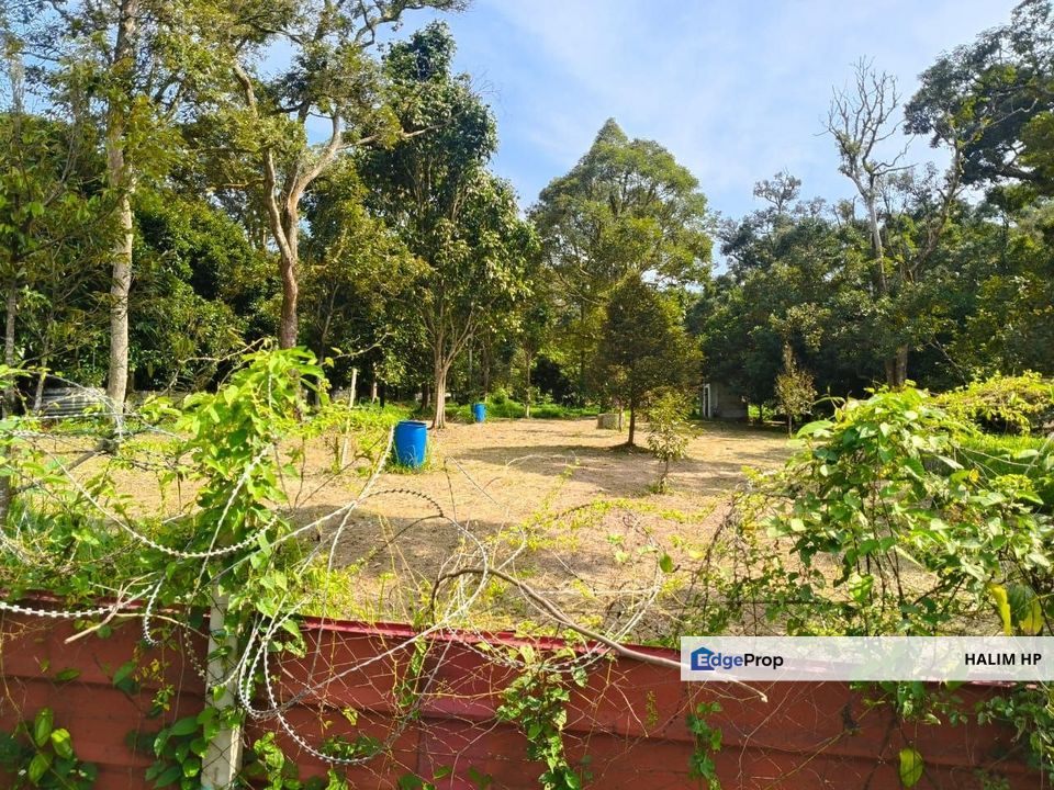 TANAH DUSUN DURIAN UNTUK DILEPASKAN – MUKIM LENGGENG, NS, Negeri Sembilan, Lenggeng