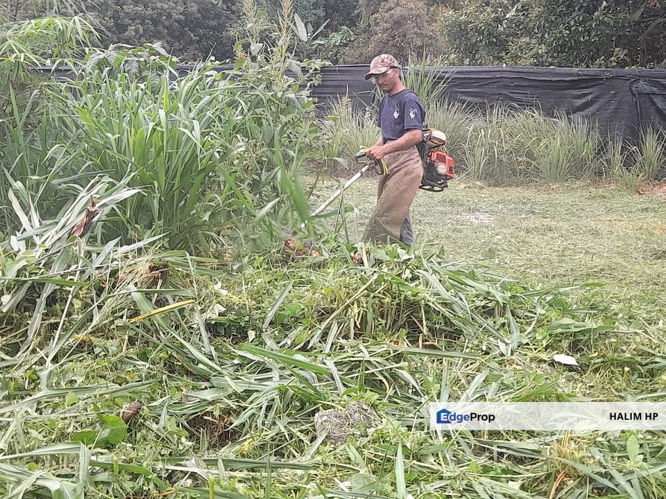 Tanah Pertanian Tepi Jalan Harga Murah, Negeri Sembilan, Lenggeng