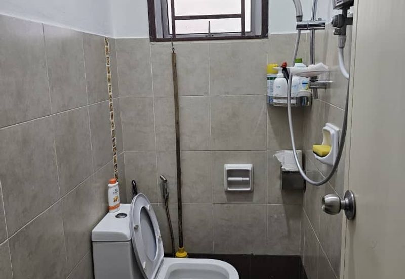 Jalan Setia Tropika 2/14