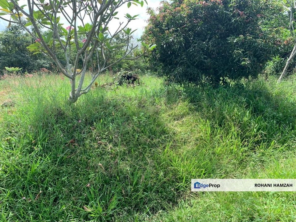 Jalan Haji Marmo, Lorong Haji Samijan, Kampung Giching, Sepang, Land for Sale, Selangor, Sepang