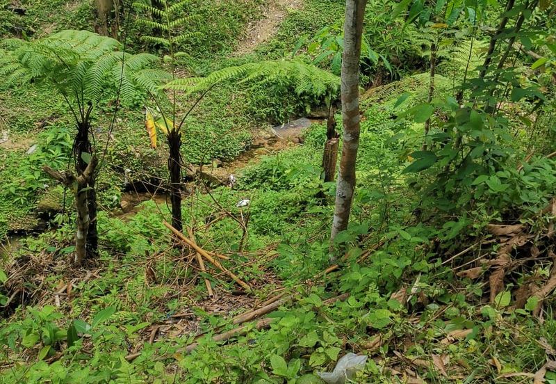 Kampung Kemensah, Ulu Klang, Kuala Lumpur, Agriculture Land For Sale