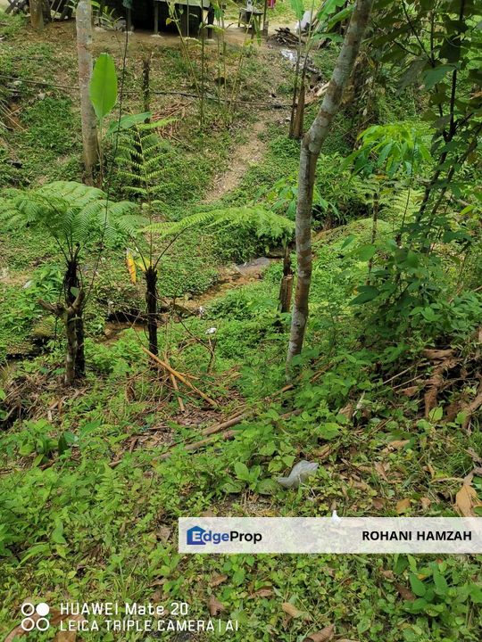 Kampung Kemensah, Ulu Klang, Kuala Lumpur, Agriculture Land For Sale, Kuala Lumpur, Gombak