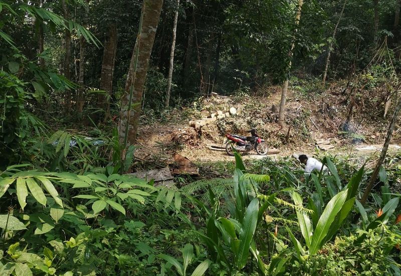 Kampung Kemensah, Ulu Klang, Kuala Lumpur, Agriculture Land For Sale