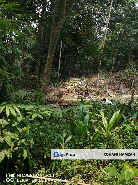 Kampung Kemensah, Ulu Klang, Kuala Lumpur, Agriculture Land For Sale, Kuala Lumpur, Gombak