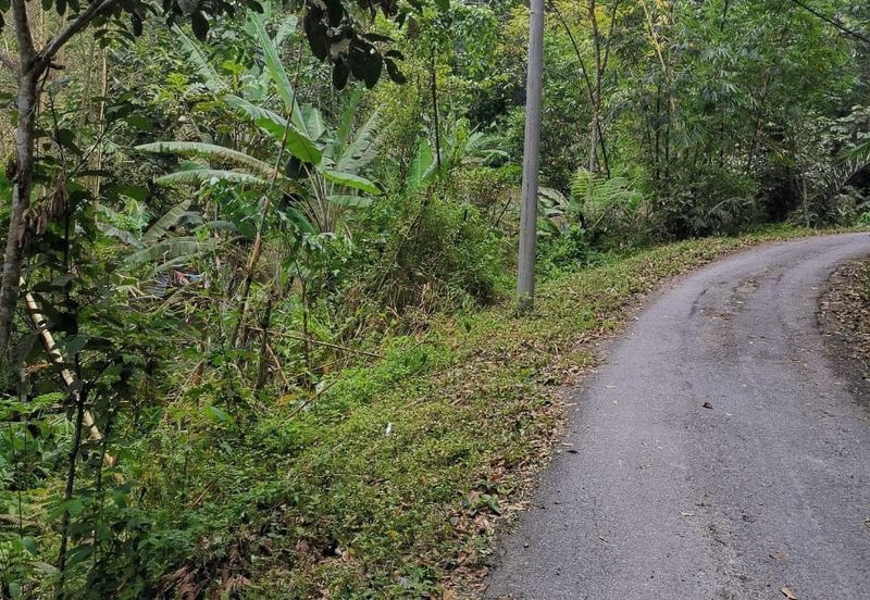 Kampung Kemensah, Ulu Klang, Kuala Lumpur, Agriculture Land For Sale