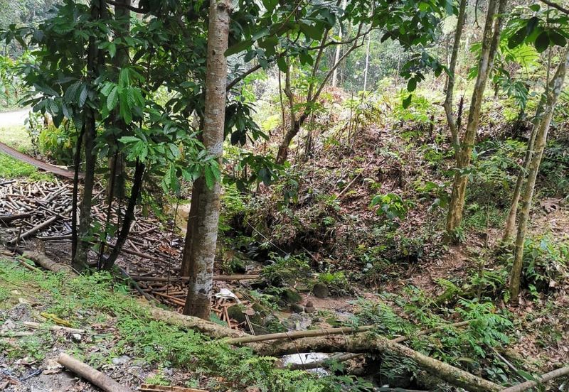 Kampung Kemensah, Ulu Klang, Kuala Lumpur, Agriculture Land For Sale
