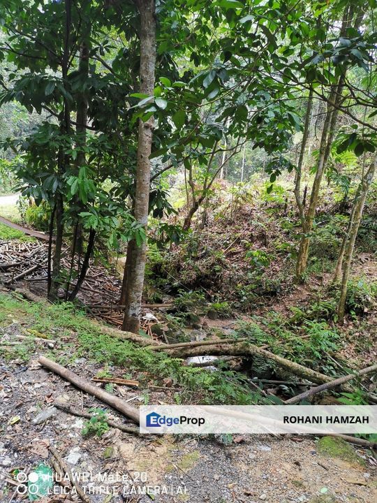 Kampung Kemensah, Ulu Klang, Kuala Lumpur, Agriculture Land For Sale, Kuala Lumpur, Gombak