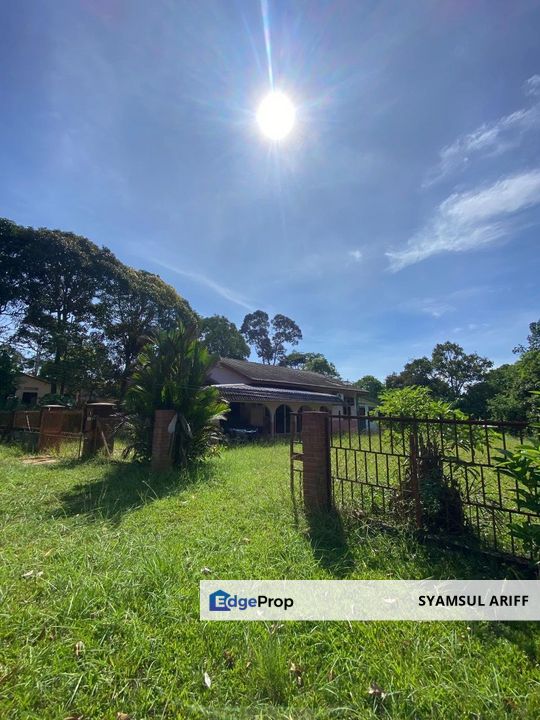 Tanah Bungalow Kg Baru Bukit Lada Maran untuk jual, Pahang, Temerloh