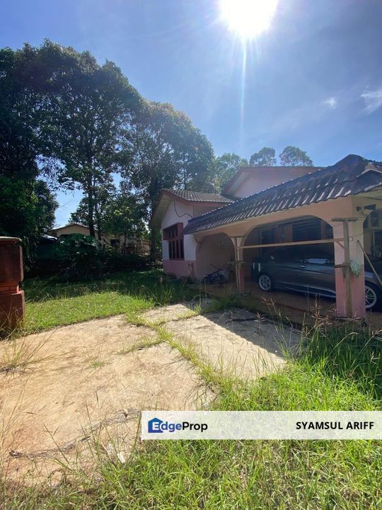 Tanah Bungalow Kg Baru Bukit Lada Maran untuk jual, Pahang, Temerloh