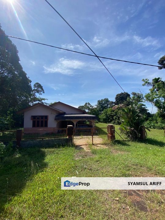 Tanah Bungalow Kg Baru Bukit Lada Maran untuk jual, Pahang, Temerloh