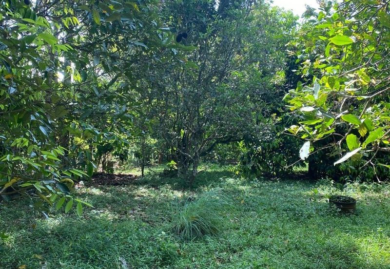 Bungalow Murah Kg Baru Bukit Lada Maran