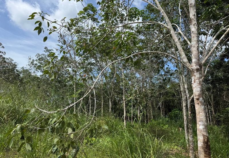 Tanah kebun murah tepi jalan temerloh