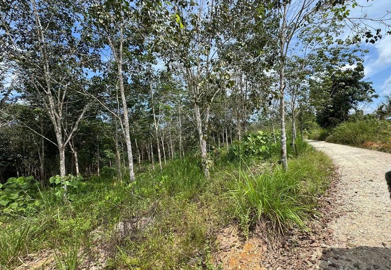 Tanah kebun murah tepi jalan temerloh