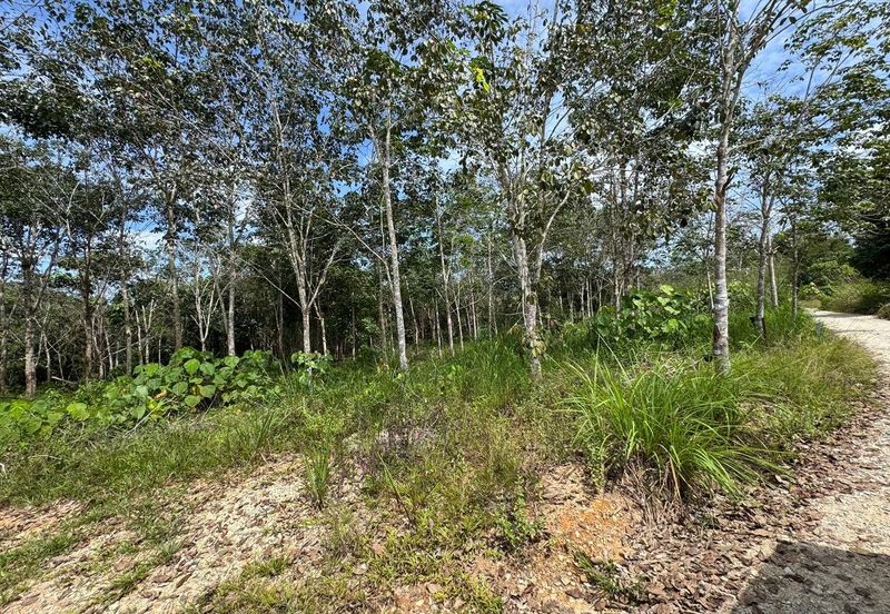 Tanah kebun murah tepi jalan temerloh