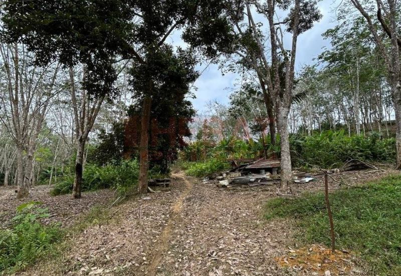 Tanah Kebun sawit ada hasil Mengkarak Bera utk Jual