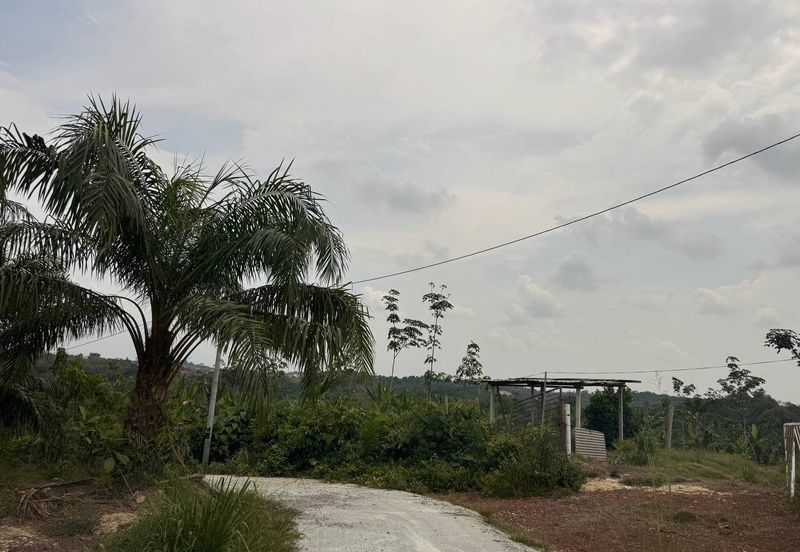 Tanah lot banglo murah bawah rm60k temerloh