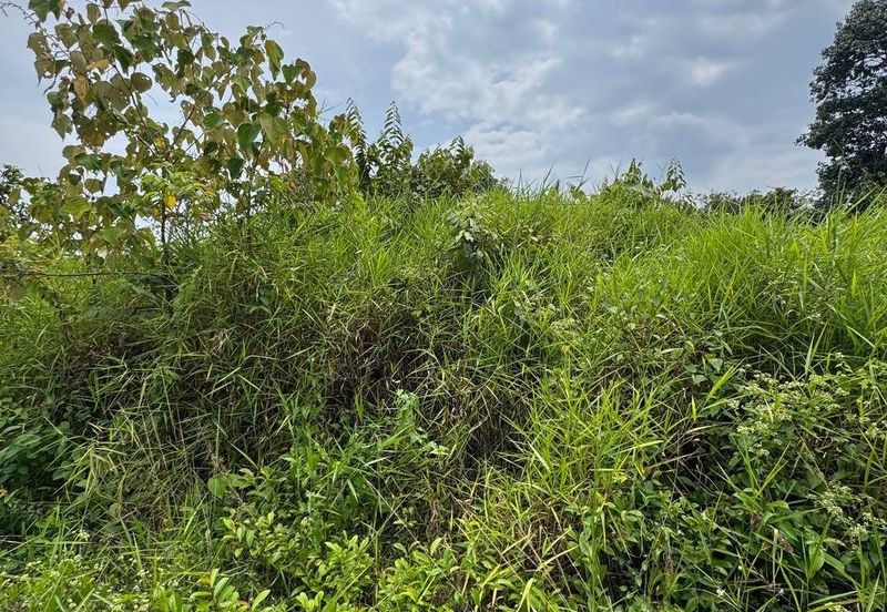 Tanah lot banglo murah bawah rm60k temerloh