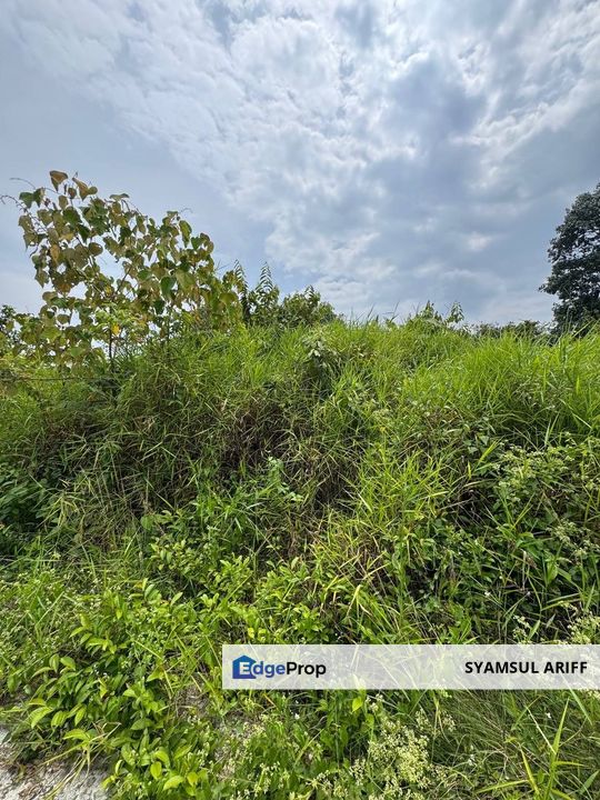 Tanah lot rumah banglo bawah rm60k temerloh utk Jual, Pahang, Temerloh