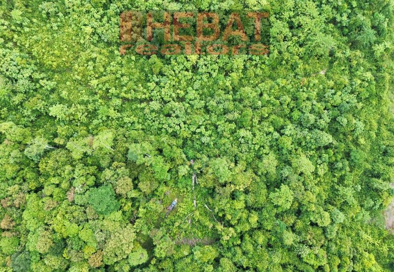 Tanah kebun murah kg lompat Temerloh