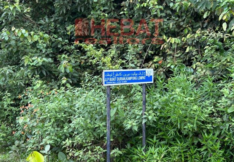 Tanah kebun murah kg lompat Temerloh