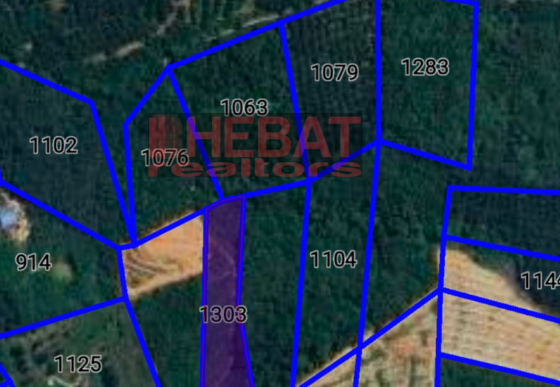 Tanah kebun murah kg lompat Temerloh