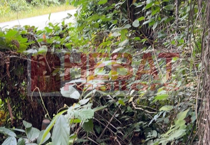 Tanah sawit murah seberang temerloh