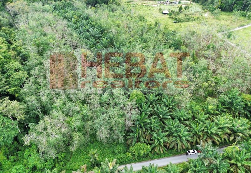 Tanah sawit murah seberang temerloh